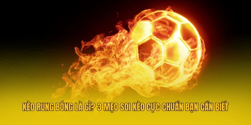 Kèo Rung Bóng Là Gì? 3 Mẹo Soi Kèo Cực Chuẩn Bạn Cần Biết 4 Tìm hiểu mẹo soi kèo rung bóng hiệu quả nhất