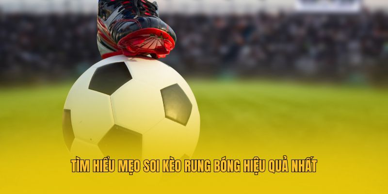 Kèo Rung Bóng Là Gì? 3 Mẹo Soi Kèo Cực Chuẩn Bạn Cần Biết 1 Kèo Rung Bóng Là Gì? 3 Mẹo Soi Kèo Cực Chuẩn Bạn Cần Biết